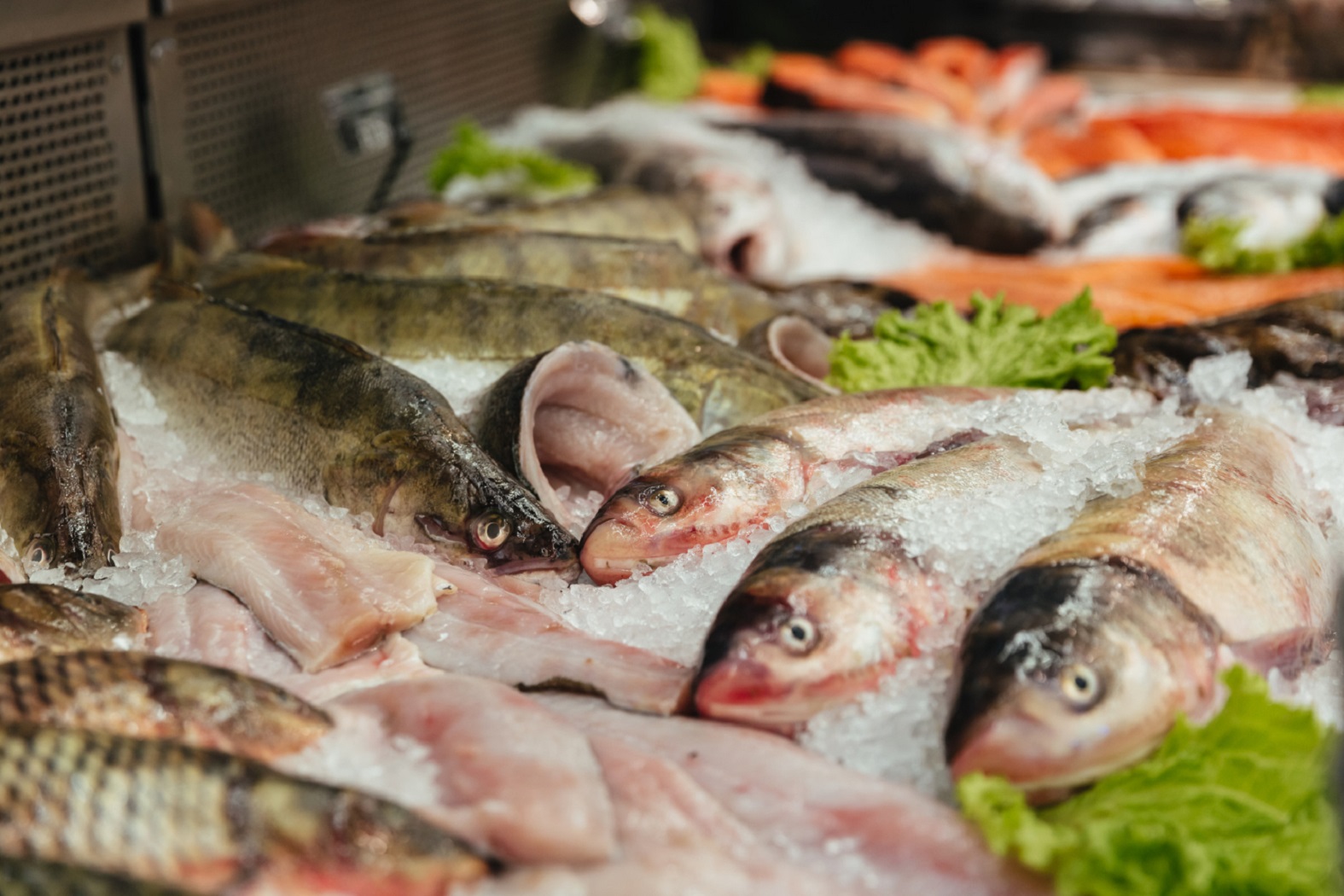 Fish and Sea Food Processing Technician 77395