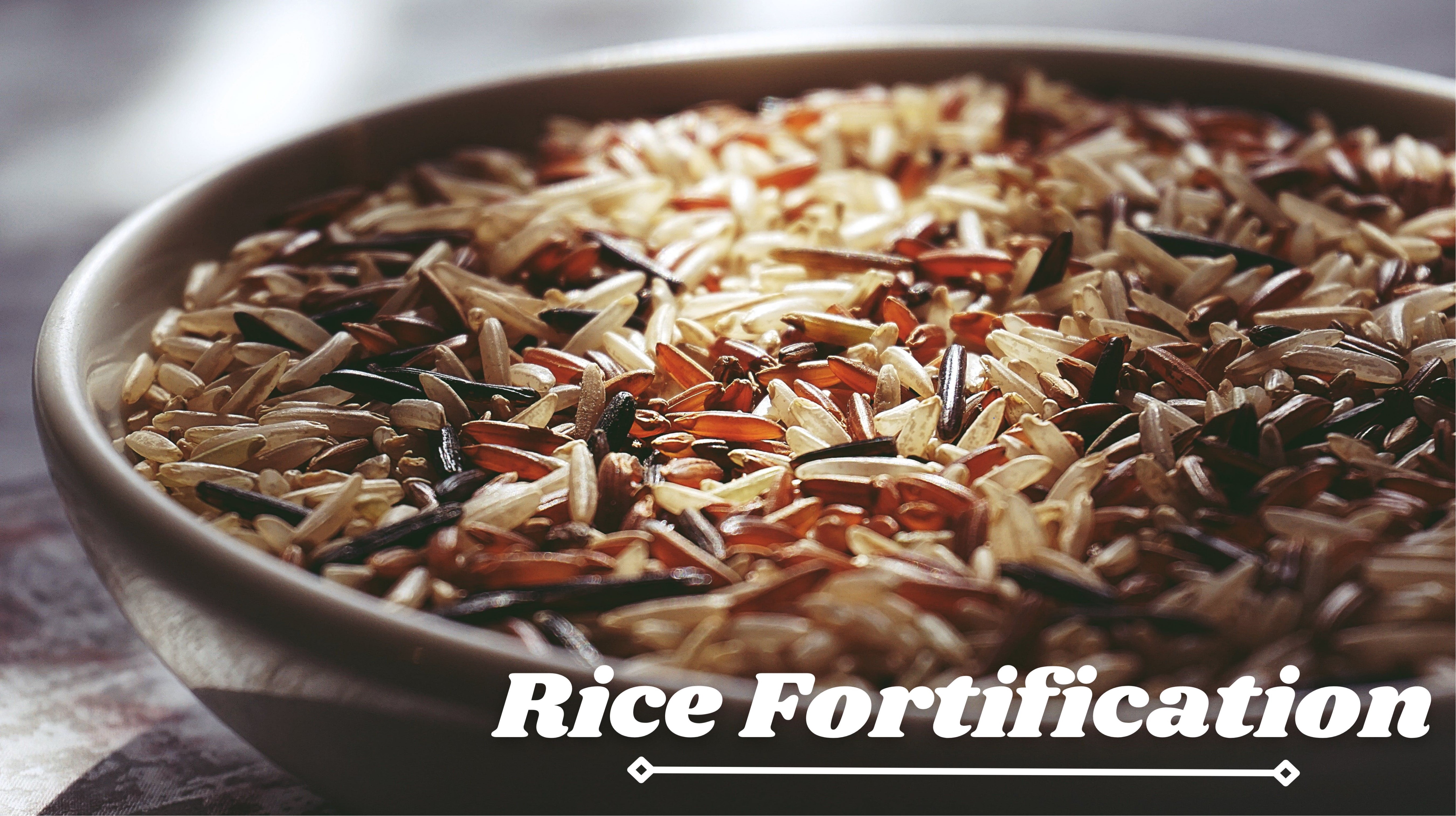 Rice Fortification 10201