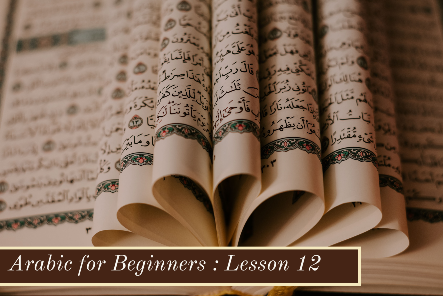 Arabic for Beginners-Lesson 12:   Conversation at the Airport in Arabic 16498