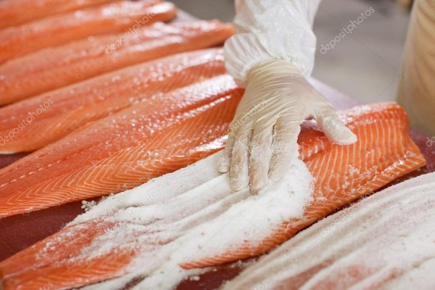 Fish and Seafood processing 16591768077526734