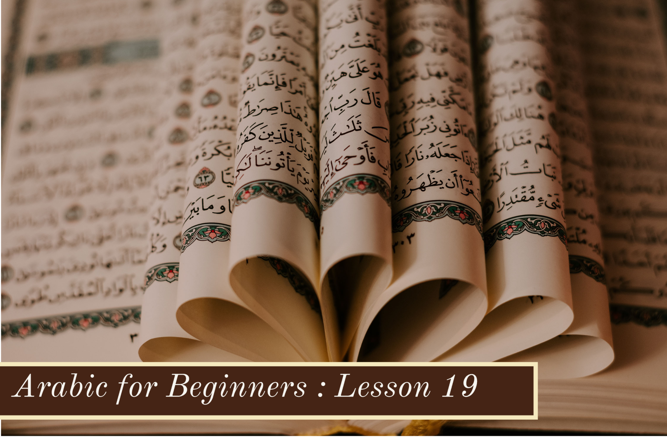 Arabic for Beginners-Lesson 19:   Name of Months and Days of the Week in Arabic and Words related to Driving in Arabic 26188