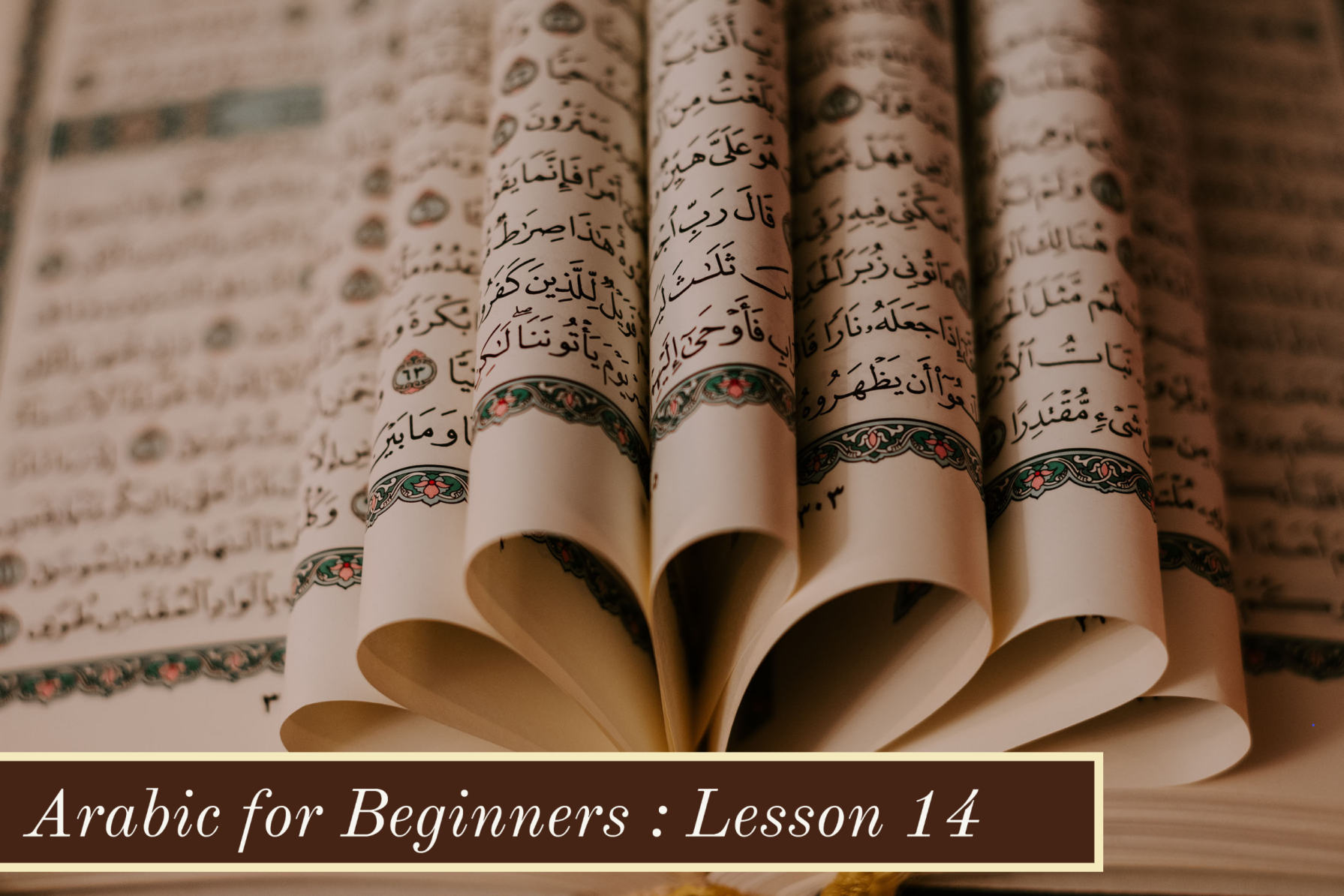 Arabic for Beginners-Lesson 14:   Conversation at the Hotel in Arabic 27557