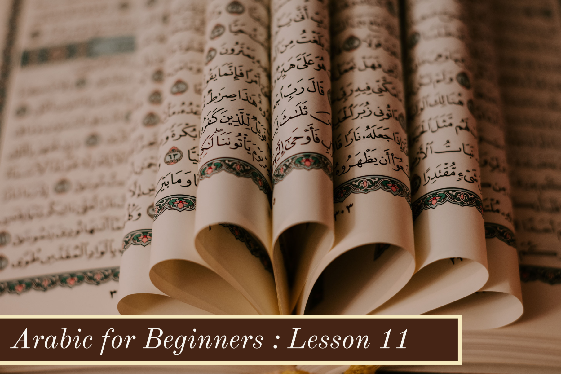 Arabic for Beginners-Lesson 11:   Introducing Overselves and Others in Arabic 29036