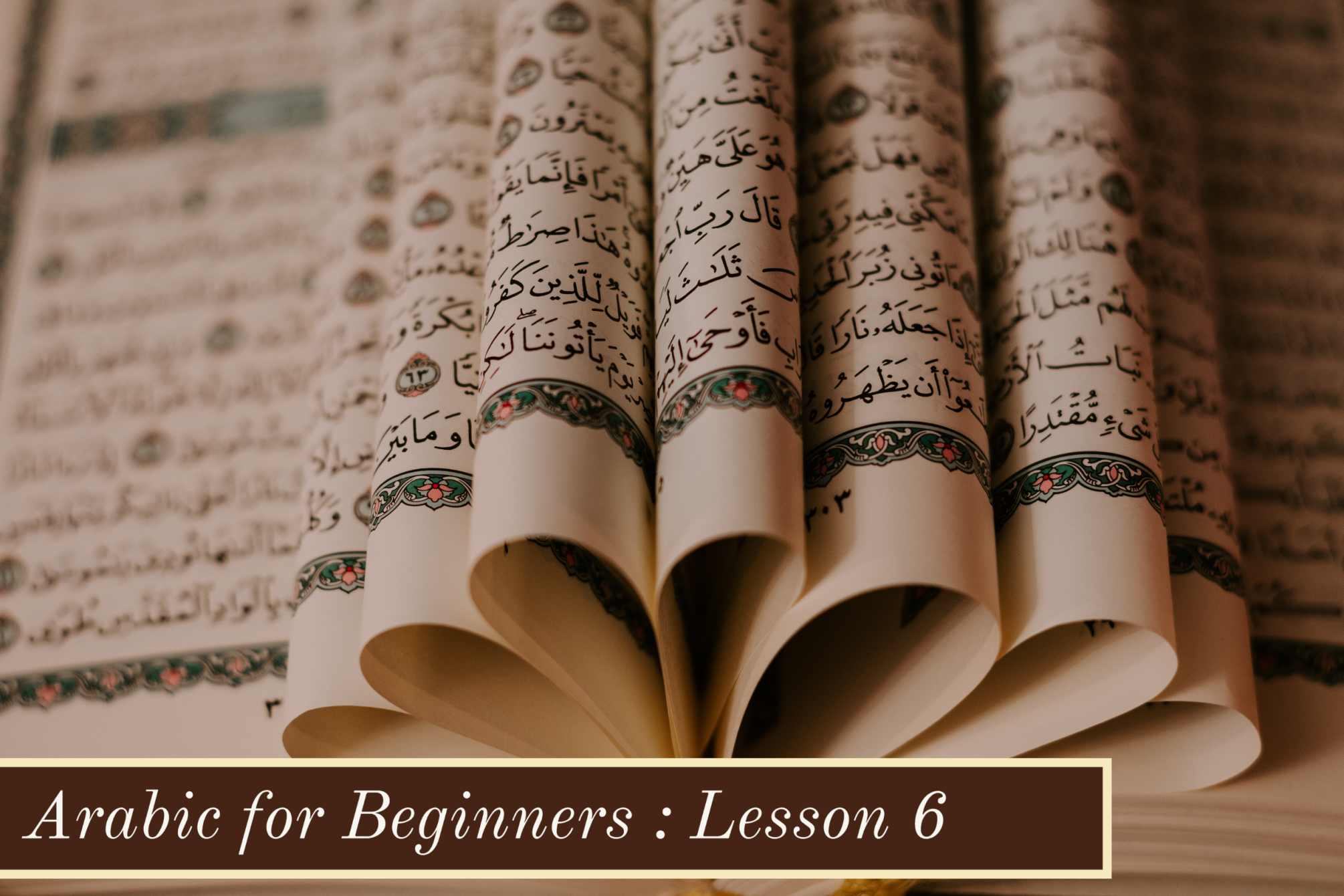 Arabic for Beginners-Lesson 6:   Using Do not and Does Not in simple Arabic Sentences/Questions 58732